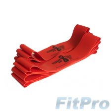 Комплект амортизаторов ленточных DITTMANN RubberBand XL Red Heavy, (10шт) в магазине FitPro